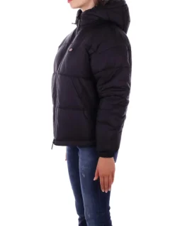 DICKIES Giubbotto Donna Alatna oversized puffer>Donna Giubbotti