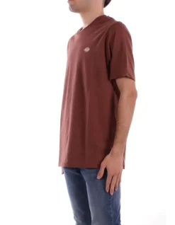 DICKIES T-shirt Uomo Ss mapleton tee cappuccino>Uomo T-Shirt